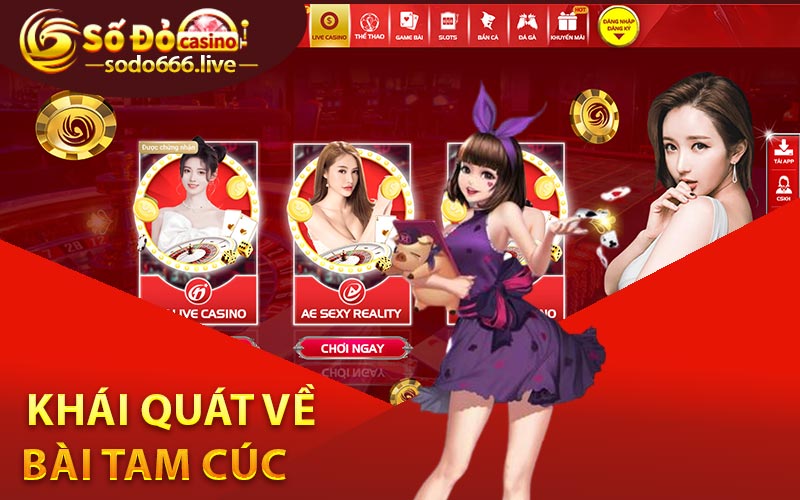 Khái quát về bài tam cúc