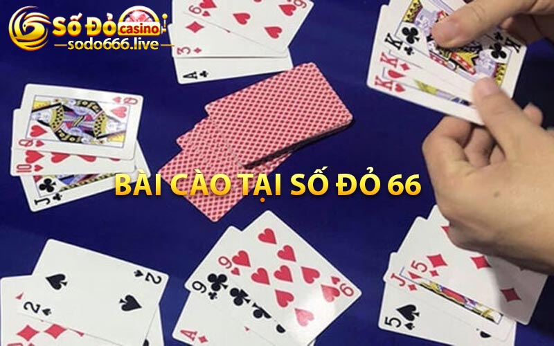 Bài cào tại Số đỏ 66