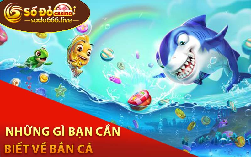 Những gì bạn cần biết về bắn cá